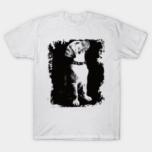 Cool dog T-Shirt